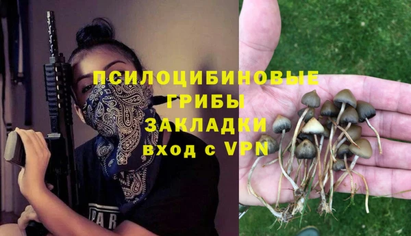 не бодяженный Тында