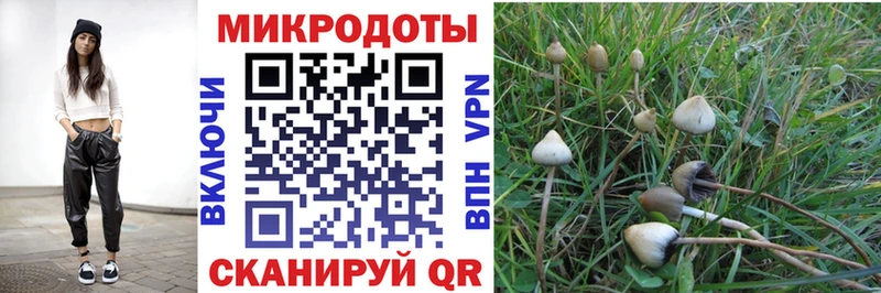 Псилоцибиновые грибы Cubensis  наркотики  Бобров 